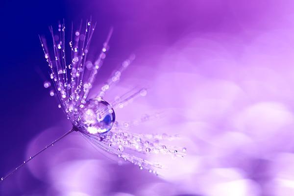 Kuva: Getty Images/ Yulia Gusterina